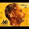 Sunset(feat. Lennis Sabatino & Daneon) - Axr the Alchemist&Lennis Sabatino&Daneon