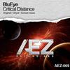 Critical Distance (Sunset Remix) - BluEye