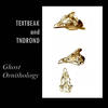 Watching Birds Fall - Jason Adams&Textbeak
