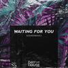 Waiting For You - Soundwaves