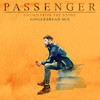 Sword from the Stone (Gingerbread Mix) - Passenger