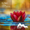 Litany (Radio Edit) - DJ Dani