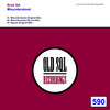 Misunderstood (Original Mix) - Brett SA