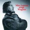 O Fürstin! (Tannhäuser) - Maria Reining&Max Lorenz&Wiener Philharmoniker