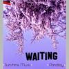 Waiting (feat. Pandizzy) (Explicit) - Sunshine Music&Pandizzy