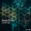 Lysergic - Sonic Entity