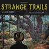 Meet Me in the Woods (Explicit) - Lord Huron