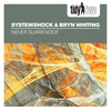 Never Surrender (Radio Edit) - SystemShock&Bryn Whiting