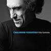 Vida sonhada - Carlinhos Vergueiro
