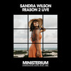 Reason 2 Live (Nu Disco Dub Mix) - Sandra Wilson