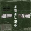 Analog(feat. Pingi) (Explicit) - Rudolphh&Pingi