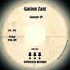 Analogic - Gaston Zani