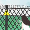 离境（DJ版） - 诗雨Cc
