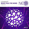 What Fills The Mind (Original Mix) - L)Vladimir(P