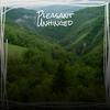 Pleasant Unhinged - Mert Siyama