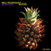 Limit (Original Mix) - Meli Rodriguez