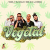 Vegetal - DJ Chulo NYC&Yaisel LM&El Don 45