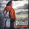 Bojangles (Remix) - Pitbull&Lil Jon&Ying Yang Twins