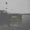 Vine of the Soul (Powel Remix) - In2deep&Fulltone