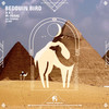 Bedouin Bird (ELIHU Remix) - A X L&M-farag&Cafe De Anatolia&ELIHU'