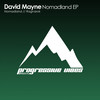 Nomadland (Original Mix) - David Mayne