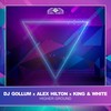 Higher Ground - DJ Gollum&Alex Hilton&King & White