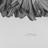 Evening Star - v e n n&Norvik