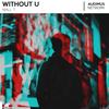 Without U - Niall T