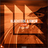 Leavin' - Blackcode&RMCM&Alessa