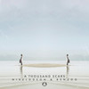 A Thousand Scars - Nikelodeon&Benzoo