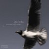 Evolving Perfect Circles (Original Mix) - Ocherii