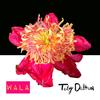 Something New(feat. DJ Lucas) (Explicit) - Toby Z Dalton&DJ Lucas