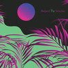 Flying Circus (Reflex Version) - Pasqualle