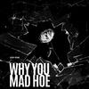 WHY YOU MAD HOE (Explicit) - Eddy Rose