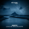 Leave Me Wanting More - Amar N