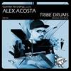 Tribe Drums (Nacho Chapado & Ivan Gomez Mix) - Alex Acosta