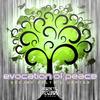 Evocation Of Peace (Original Mix) - DeeJay Delta&Vaptor