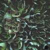 Ordibehesht (Original Mix) - Banafsh