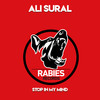 The Funk of Sunshine - Ali Sural