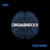 Blue Snake - RoyJ