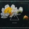 Relax (Original Mix) - Steve Tosi