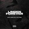 Linden Forever (feat. Linden Vo, CJ 781 & Mizz) (Remix|Explicit) - Jeffrey iLL&Linden Vo&CJ 781&Mizz