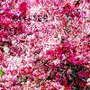 Glitter(feat. Mayten) (Explicit) - Ohsolow&Mayten