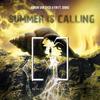 Summer Is Calling - Aaron Van Dyck&Fin&Diwid