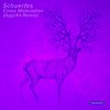 Cross Modulation (Agg/A4 Remix) - Schuerfes&Agg / A4