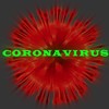 Coronavirus Covid-19 (Explicit) - Grief de Sun