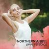 Spirit's Voice (Original Mix) - Northern Angel