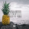 Awu - WAMI