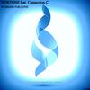Working For Love (Original Mix) - Newtone