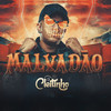MALVADÃO x METE COM FORÇA (Explicit) - DJ Cleitinho